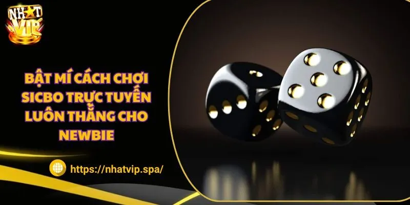 Bật mí cách chơi Sicbo trực tuyến luôn thắng cho Newbie