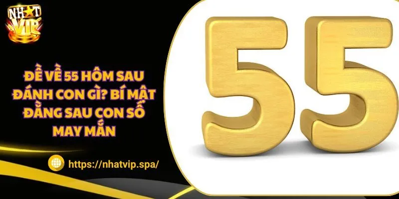 Đề về 55 hôm sau đánh con gì? Bí mật đằng sau con số