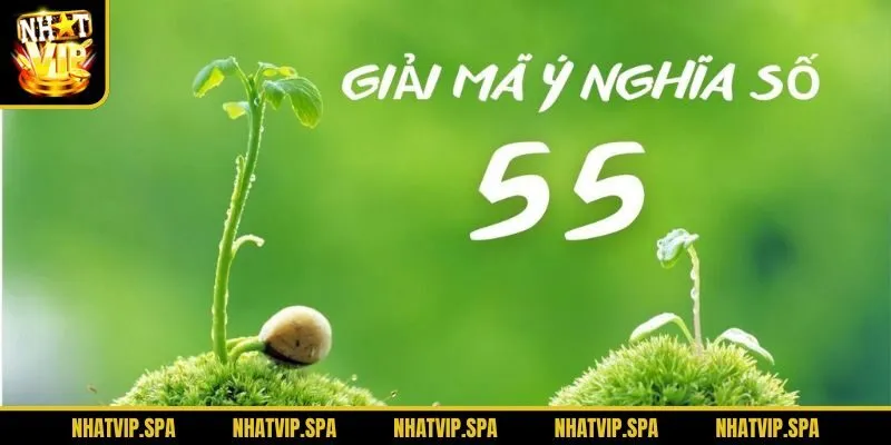 Ý nghĩa của con số 55